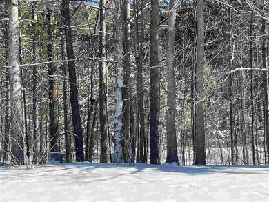 0598 Magee Rd S, Boyne Falls, MI 49713 - photo 6