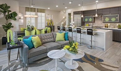 Living-Dining-Kitchen - Melrose