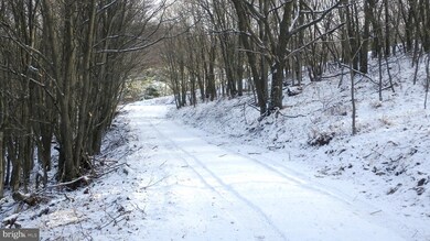 Lot 256 S Branch Mountain Rd, Moorefield, WV 26836 - photo 7