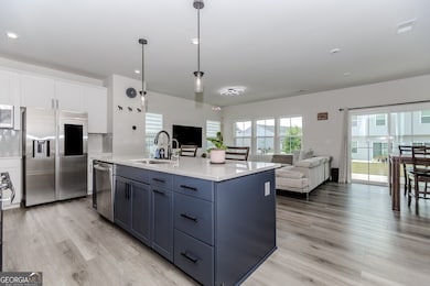 233 Salt Lake Ln, Hoschton, GA 30548 - photo 6