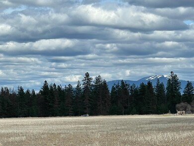 918 W Wildrose Rd, Colbert, WA 99005 - photo 7