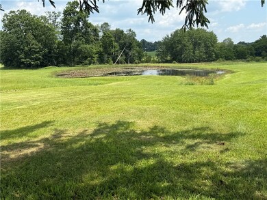 pond