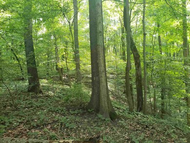 0 Houghton Ln unit 201936061, Loogootee, IN 47553 - photo 7