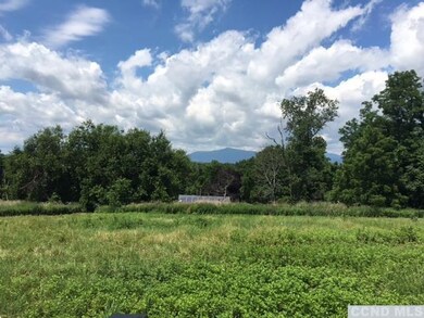 0 County Route 6 unit 120456, Clermont, NY 12526 - photo 5