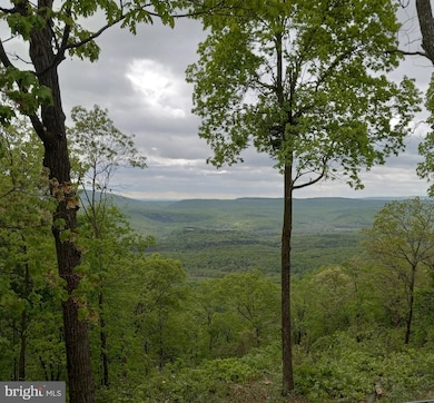 937 Sparrow Hill Rd, Paw Paw, WV 25434 - photo 3