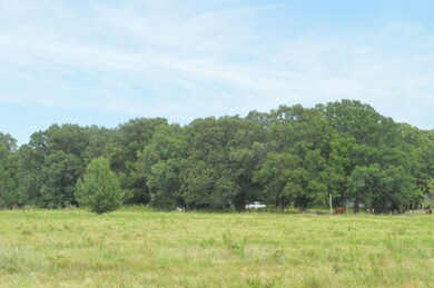 S 4650 Rd, Brushy, OK 74955 - photo 5