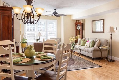 15 Summer St unit 108, Franklin, MA 02038 - photo 3