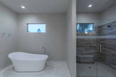 Master Bath Shoer and Tub