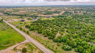 5403 Old Dennis Rd, Weatherford, TX 76087 - photo 5