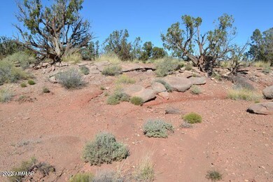 20221102193710163520000000-o