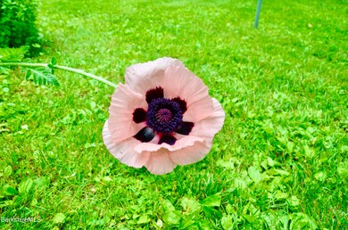 109 Cadwell Rd, Pittsfield, MA 01201 - photo 4