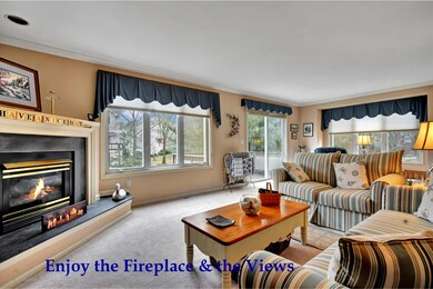 Enjoy the Fireplace & the View