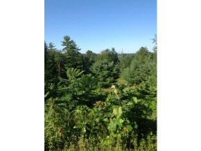 00 Spring Hill Rd, Moultonborough, NH 03254 - photo 3