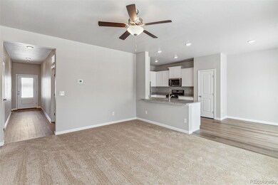 770 Twining Ave, Brighton, CO 80601 - photo 4