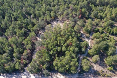 DJI_0372