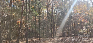 4151 Concord Rd unit 12, York, SC 29745 - photo 3