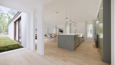 Kitchen & Vestibule Perspective - Green