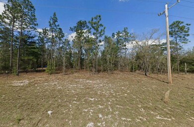 Elfrid unit a AZ 85610, Elfrida, AZ 85610 - photo 2