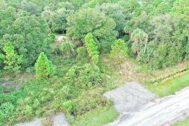 350 S Olivo St, Montura, FL 33440 - photo 7