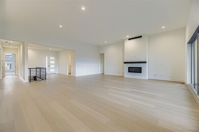 641 Bistort Point, Castle Rock, CO 80104 - photo 5