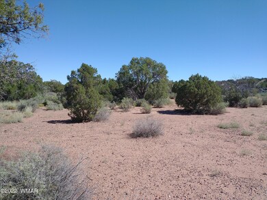 4253 Indian Bend Rd, Snowflake, AZ 85937 - photo 7