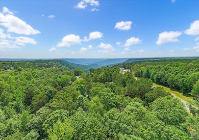 2795 Raulston Falls Rd, Jasper, TN 37347 - photo 6