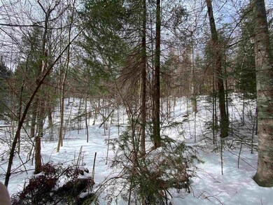 203 W Forest Lake Rd, Bethlehem, NH 03574 - photo 3