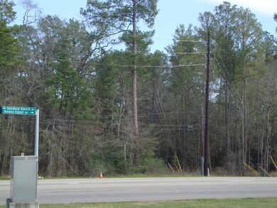 0 Honea Egypt Rd unit 31347702, Magnolia, TX 77354 - photo 5