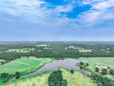 000 County Road 4200, Daingerfield, TX 75638 - photo 6