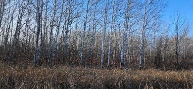 Parcel 3 Willow Rd NE, Carlos, MN 56319 - photo 6