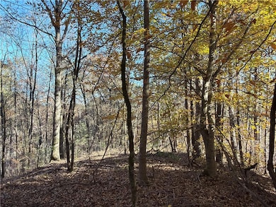 0 Whitestone Rd unit 7677114, Talking Rock, GA 30175 - photo 5