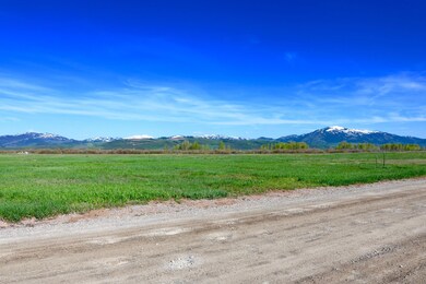 IMG_1566