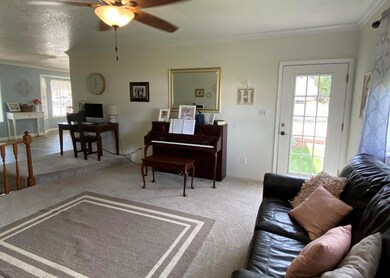 Living Room IMG_1189