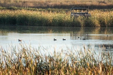 0 Tbd Cty Rd 57, Kersey, CO 80644 - photo 3
