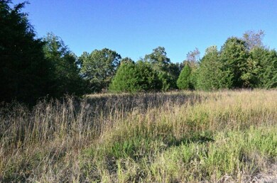 lot 5