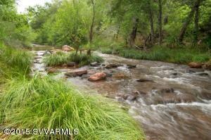 Spring creek view