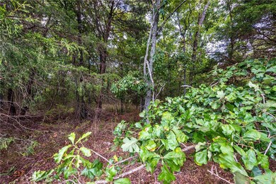 0 Long Tate Rd unit 1199062, Elkins, AR 72727 - photo 5