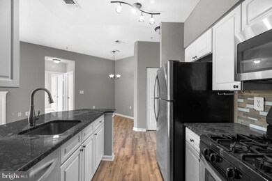 Worldgate Condominium unit 409, Herndon, VA 20170 - photo 2