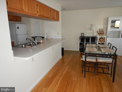 2800 Clear Shot Dr unit 8, Silver Spring, MD 20906 - photo 5