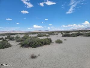 APN 074-431-51, Reno, NV 89510 - photo 2