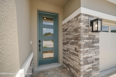 9196 Players Dr, Weeki Wachee, FL 34613 - photo 6