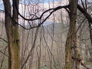 478 Windy Gap Rd, Cullowhee, NC 28723 - photo 4