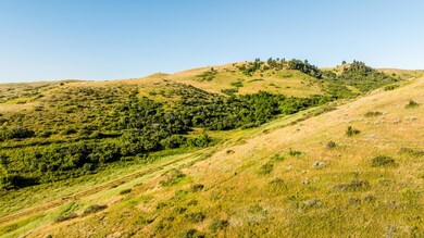 006_dji_20240705074832_0493_d_400