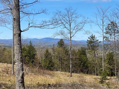 0 Gray Rd, Sangerville, ME 04479 - photo 5