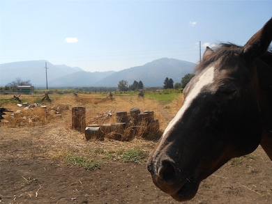 Bitterroot mountains and south yard