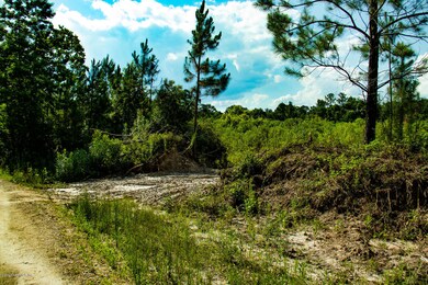 0 Spring Dr unit 1053118, Middleburg, FL 32068 - photo 3