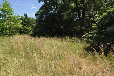 Tbd Farm Road 2085, Jenkins, MO 65605 - photo 6