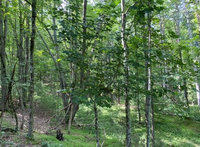 0 Teaberry Ct, Daniels, WV 25832 - photo 2