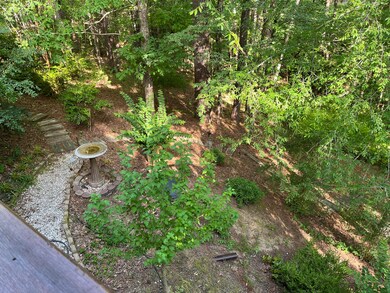D5 - view to the birdbath