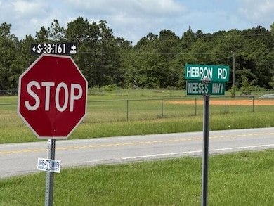 1482 Hebron Rd, Neeses, SC 29107 - photo 5